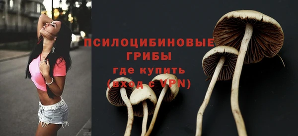 эйфоретик Аркадак