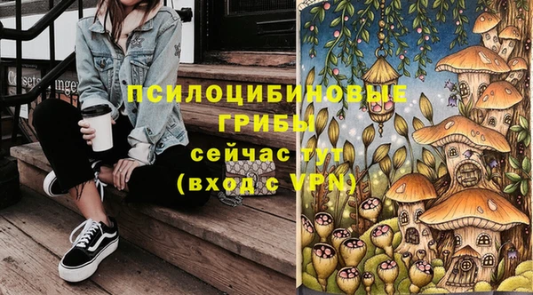 дмт Козельск